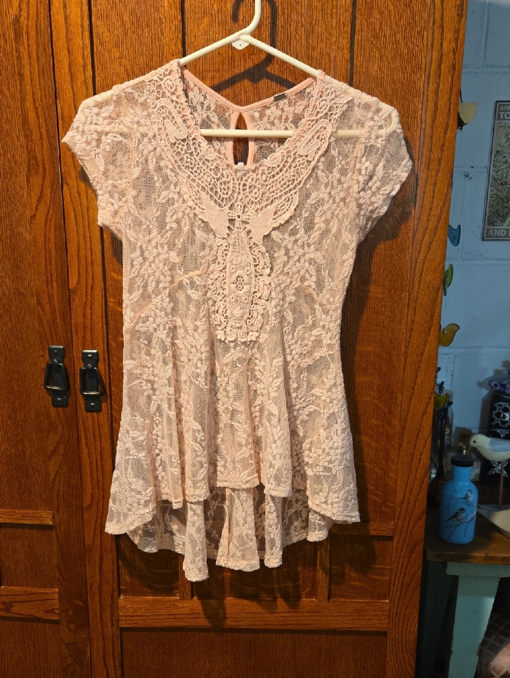 Size Small(?) Free People Pink  Sheer Lace Top